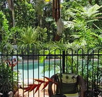 Daintree Rainforest Retreat Motel - Surfers Paradise Gold Coast