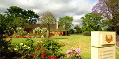 Houghton Winery - Surfers Paradise Gold Coast 0