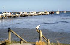 Port Macdonnell SA Surfers Paradise Gold Coast