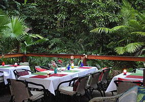 Daintree Rainforest Retreat Motel - Surfers Paradise Gold Coast 1