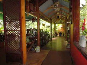 Daintree Rainforest Retreat Motel - Surfers Paradise Gold Coast 2