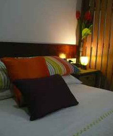 Daintree Rainforest Retreat Motel - Surfers Paradise Gold Coast 3