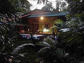 Daintree Rainforest Retreat Motel - Surfers Paradise Gold Coast 4