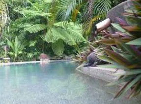 Daintree Rainforest Retreat Motel - Surfers Paradise Gold Coast 5