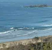 Beach Haven Apartments - Surfers Paradise Gold Coast