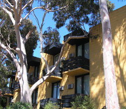 Pathfinder Motel - Surfers Paradise Gold Coast 1