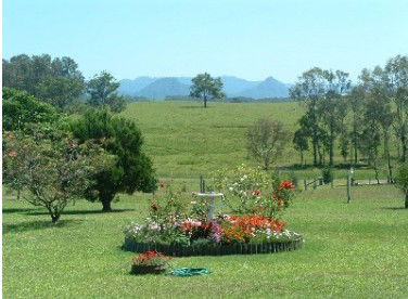 Tallowood Ridge Farmstay B - Surfers Paradise Gold Coast 3