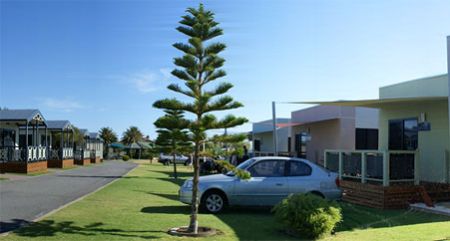 Discovery Parks -Adelaide Beachfront  - Surfers Paradise Gold Coast 1