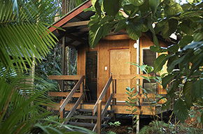 Cape Tribulation QLD Surfers Paradise Gold Coast