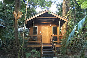 Cape Trib Beach House - Surfers Paradise Gold Coast 3