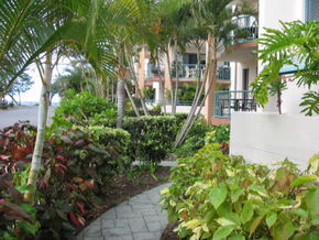 Pacific Place Apartments - Surfers Paradise Gold Coast 5