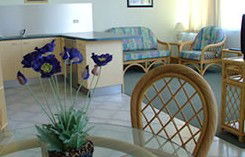 Mylos Holiday Apartments - Surfers Paradise Gold Coast 1