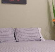 Stingo Hotel - Surfers Paradise Gold Coast