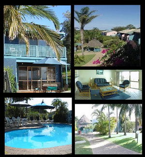 Pandanus Palms Resort - Surfers Paradise Gold Coast 1