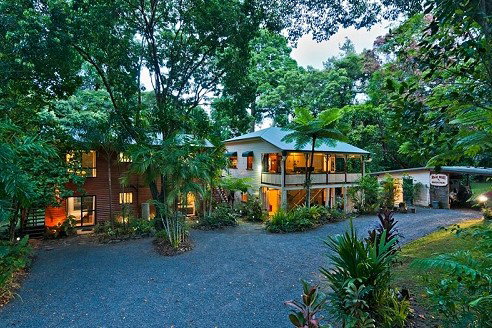 Daintree QLD Surfers Paradise Gold Coast