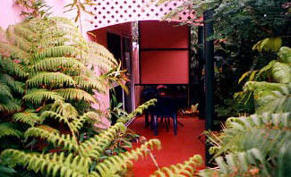 Mission Beach Rainforest Motel - Surfers Paradise Gold Coast 4