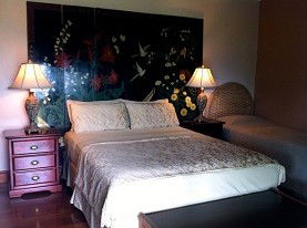 Daintree Manor - Surfers Paradise Gold Coast 0