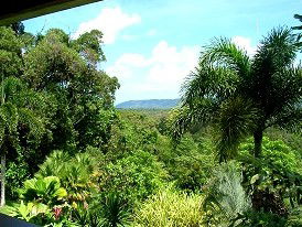 Daintree Manor - Surfers Paradise Gold Coast 3