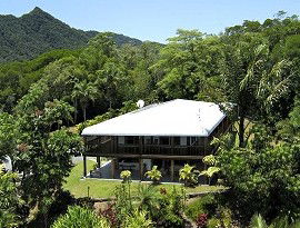 Daintree Manor - Surfers Paradise Gold Coast 4