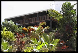 Daintree Manor - Surfers Paradise Gold Coast 5