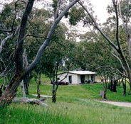 Clare Valley Cabins - Surfers Paradise Gold Coast