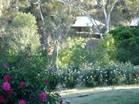 Battunga Bed & Breakfast - Surfers Paradise Gold Coast 0