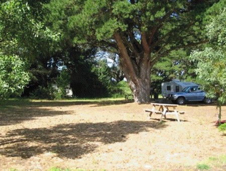 Millicent Hillview Caravan Park - Surfers Paradise Gold Coast 1