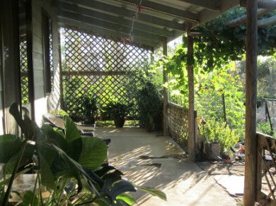 Kookaburra Creek Retreat - Surfers Paradise Gold Coast 2