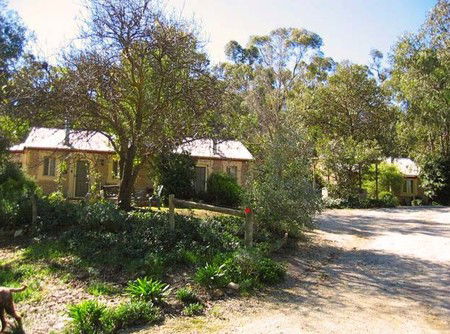 Riesling Trail Cottages - Surfers Paradise Gold Coast 3