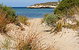 Marion Bay Caravan Park - thumb 5