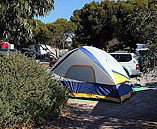 Marion Bay Caravan Park - Surfers Paradise Gold Coast 6