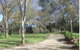 Kooringal Homestead - thumb 2