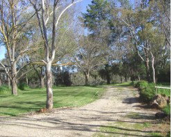 Kooringal Homestead - Surfers Paradise Gold Coast 2
