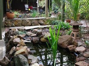 Kooringal Homestead - Surfers Paradise Gold Coast 6
