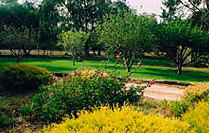 Naracoorte Cottages - Pinkerton Hill - Surfers Paradise Gold Coast 2