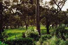 Mount Charmal Bed And Breakfast - Surfers Paradise Gold Coast 1