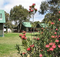 Derwent Bridge Chalets and Studios - Surfers Paradise Gold Coast