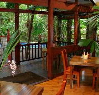 Daintree Wilderness Lodge - Surfers Paradise Gold Coast