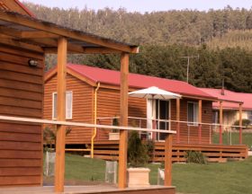 Maydena Country Cabins Accommodation & Alpaca Stud - Surfers Paradise Gold Coast 0