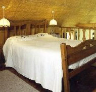 Forget-Me-Not Cottage - Surfers Paradise Gold Coast