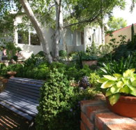 Topiary Haven - Surfers Paradise Gold Coast