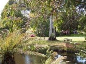 Northeast Park - Surfers Paradise Gold Coast 0