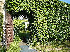 Kirra Guest House - Surfers Paradise Gold Coast 0