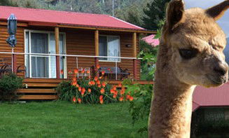 Maydena Country Cabins Accommodation & Alpaca Stud - Surfers Paradise Gold Coast 1