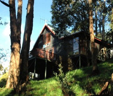 Tree Tops Cascades - Surfers Paradise Gold Coast 2
