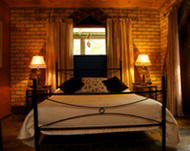 Cedar Park Rainforest Resort - Surfers Paradise Gold Coast 3