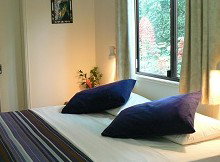 Daintree Valley Haven - Surfers Paradise Gold Coast 1