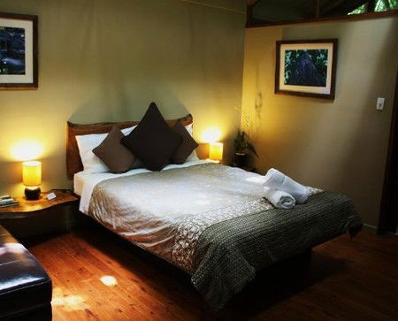 Daintree Wilderness Lodge - Surfers Paradise Gold Coast 2