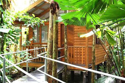 Daintree Wilderness Lodge - Surfers Paradise Gold Coast 3