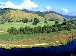 Tranquility On The Daintree - Surfers Paradise Gold Coast 2